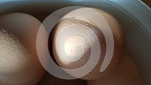 Wet surface of brown eggshell of boiled chicken eggs in sunlight and shadows