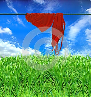 A wet swimming suit dries on a background blue sky photo