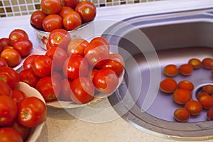 Wet tomatoes for pasteurization photo