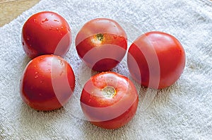 Wet Tomatoes