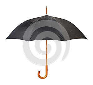 Wet Umbrella isolated