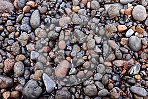 Wet volcanic pebbles