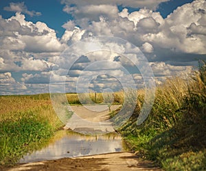 Wet walking path between fields under a cloudy sky