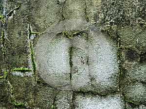 Wet Wall in Rainy Season.