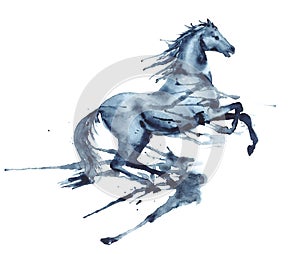 Wet watercolor rearing up horse with ink blots and stains on white.