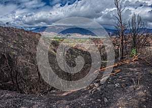 Wet weather hovering over burnt areas.