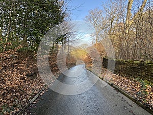 Winter view of, Shay Lane, with bare trees, and fallen leaves in, Bradford, UK photo