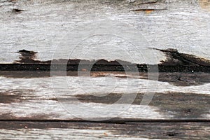 Wet wood texture. Old vintage aged grunge dark brown and gray wooden floor planks