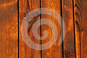 Wet wooden flooring. Wet wood planks texture. Wooden beach way. Wooden board background. Vertical direction