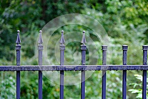 Wet Wrought Iron Fence