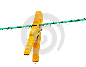 Wet yellow clothespin on a washing line