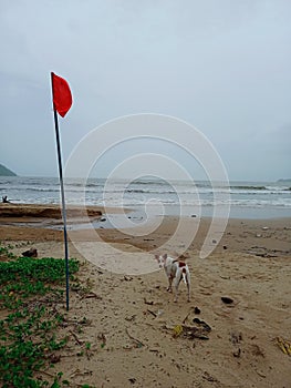 Wether warning red flag in beach