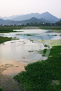 Wetland photo