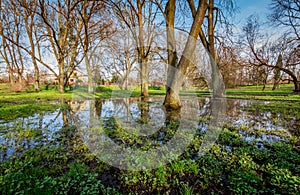 Wetland