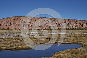 Wetland in Lauca National Park, Chile photo