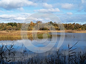 Wetland habitat at Potteric Carr, South Yorkshire, England