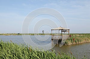 Wetland landscape