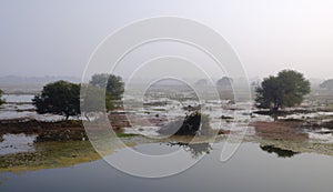 Wetland landscape photo