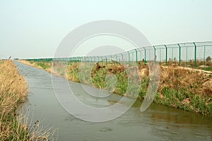 Wetland landscape