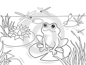 Wetland landscape with animals coloring book for adults vector illustration. Black and white lines insect, frog, cane