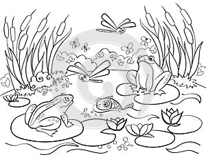 Wetland landscape with animals coloring raster for adults