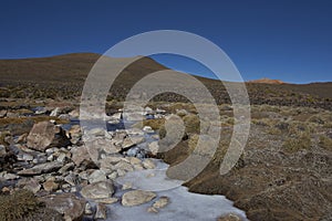 Wetland in Lauca National Park