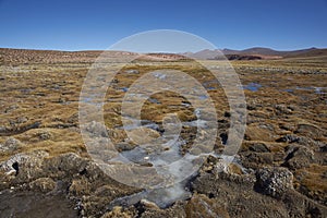 Wetland in Lauca National Park, Chile