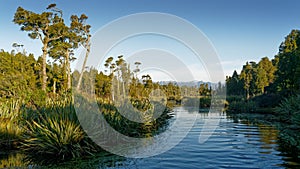 Wetland leading to Lake Mahinapua, Hokitika, west coast, sought island, New Zealand