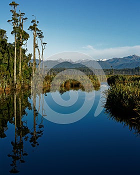 Wetland leading to Lake Mahinapua, Hokitika, west coast, sought island, New Zealand