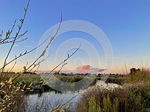 Wetland meadow and creek sunset landscape and blue sky