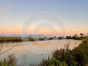 Wetland meadow marsh and creek sunset landscape and blue sky