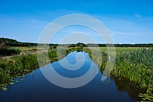 Wetland nature reserve with blue water of the lake, green grass over blue sky around Onlanden