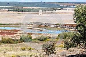 Wetland near Fuente de Piedra, Spain photo