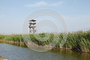 Wetland park to watch tower