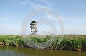 Wetland park to watch tower