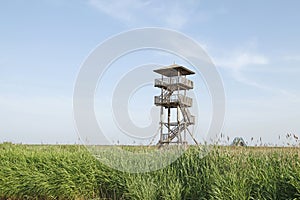 Wetland park to watch tower