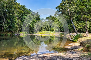 Wetland with Ponds of Wooroonooran National Park, Atherton Tablelands, Queensland, Australia