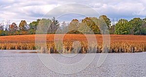 Wetland Prairie in Autumn Colors