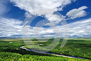 Wetland, river and forest landscape photo