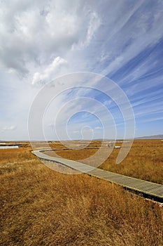 Wetland in Ruoergai automn