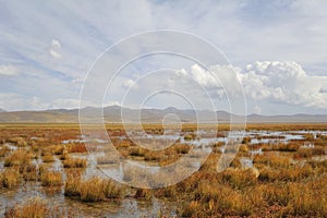 Wetland in Ruoergai automn photo