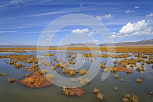 Wetland in Ruoergai automn