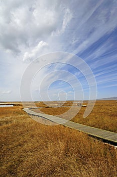Wetland in Ruoergai automn photo