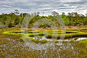 Wetland Scenery near Emerald Isle, North Carolina