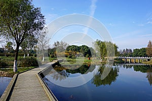 Wetland by the Taihu Lake