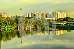 Wetland in Urban City Singapore