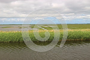 The wetland Vejlerne nature reserve in Denmark, Europe.