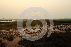 Wetland in winter.