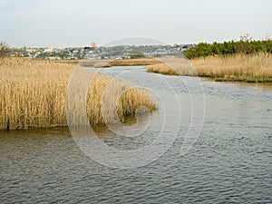 Wetlands