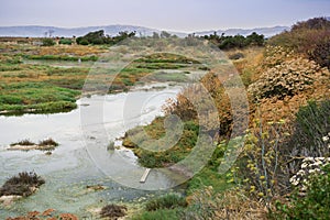 Wetlands in Alviso Marsh, south San Francisco bay, California photo